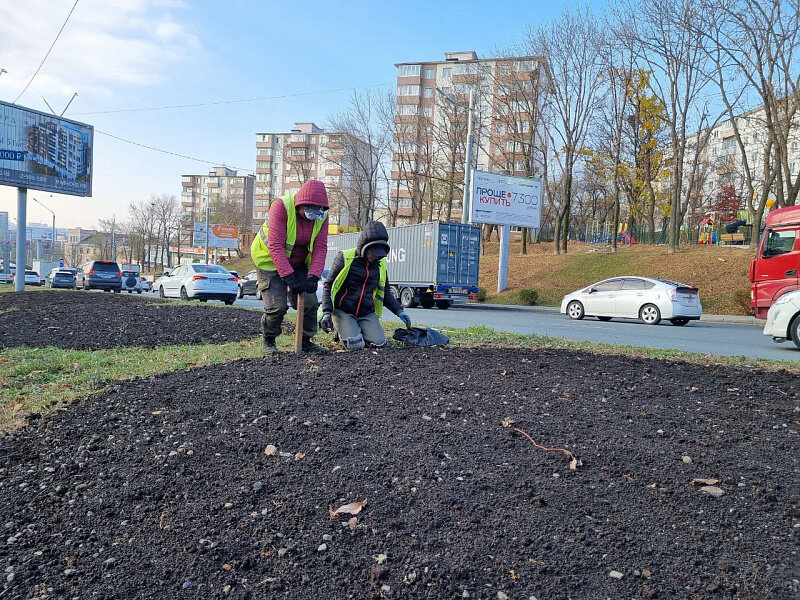 Тюльпаны высаживают во Владивостоке