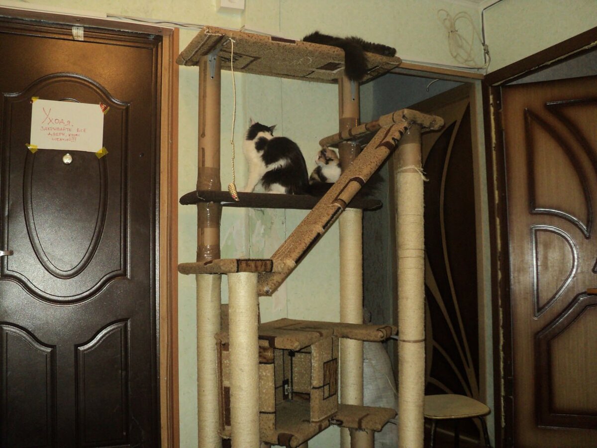 Когда-то домик был такой, тут еще не достроен