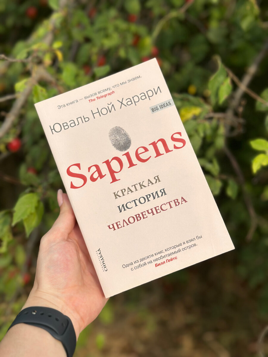 История человечества, банки и ложь - что общего? | Книжный блог Ирины  Ковани | Книги | Литература | Отзывы | Дзен