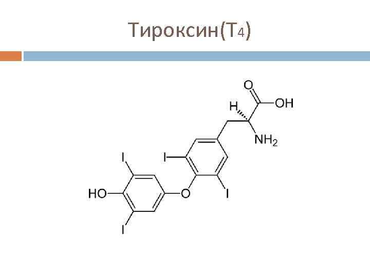 Железы тироксина