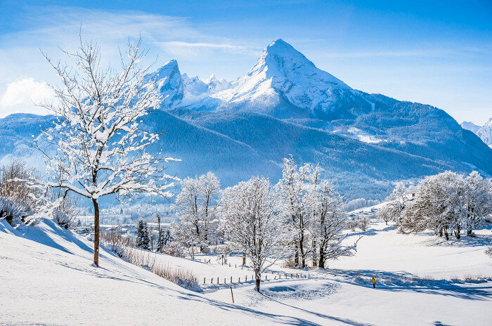 bluejayphoto, istock 