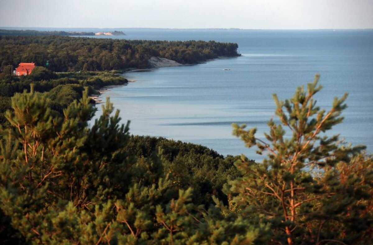 Рыбачий калининградская область. Рыбачий Куршская коса. Посёлок Рыбачий Калининградская область. Поселок Рыбачий Куршская коса. Поселок Рыбачий на Куршской косе.