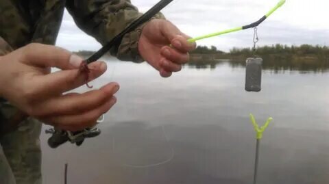 Фото с сайта: https://avatars.mds.yandex.net