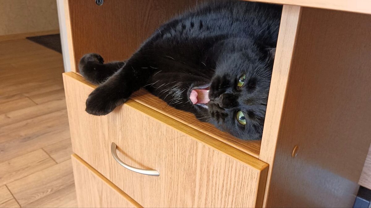 Фотография автора