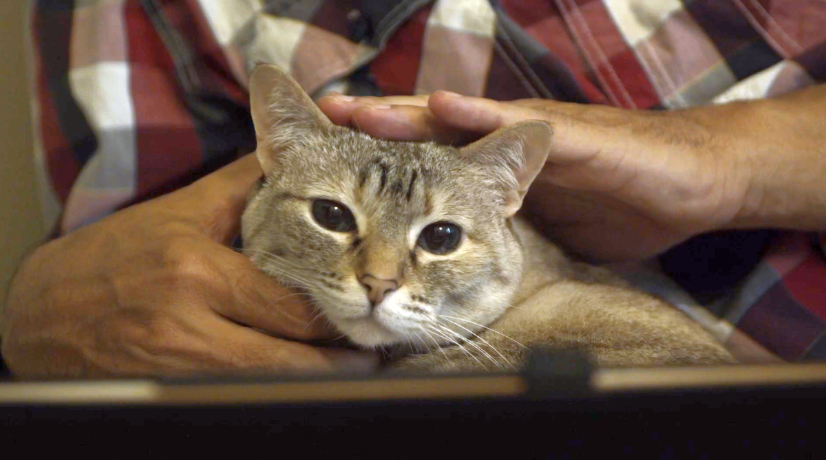 Все фотографии автору предоставил телеканал «Пятница!»