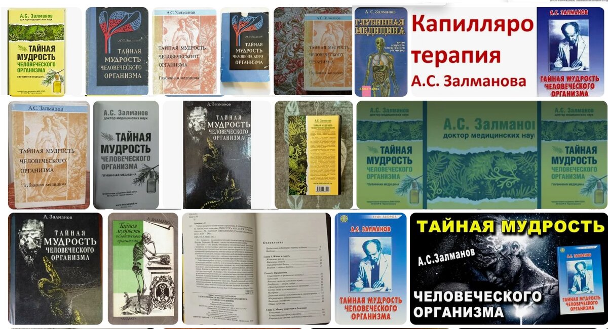 Поисковик в Интернете о Залманове А.С. и его произведениях. Принт-скрин автора