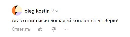 О монгольских лошадях, копающих корм из под снега | Есть мнение | Дзен