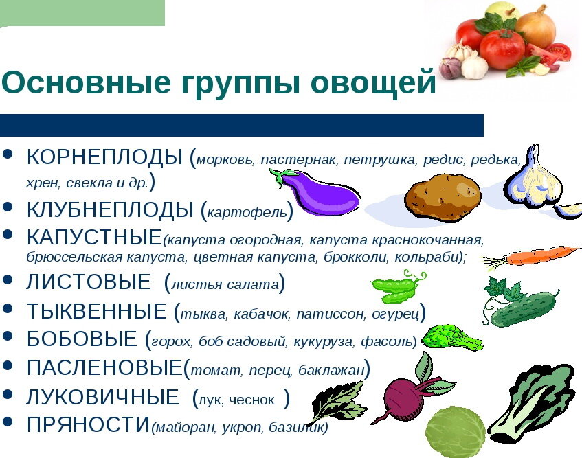 Сколько всего овощей. Перечислите овощи входящие в группу корнеплодов. Классификация овощей корнеплоды клубнеплоды. Какие овощи относятся к группе корнеплодов 2. К группе корнеплодов относятся.