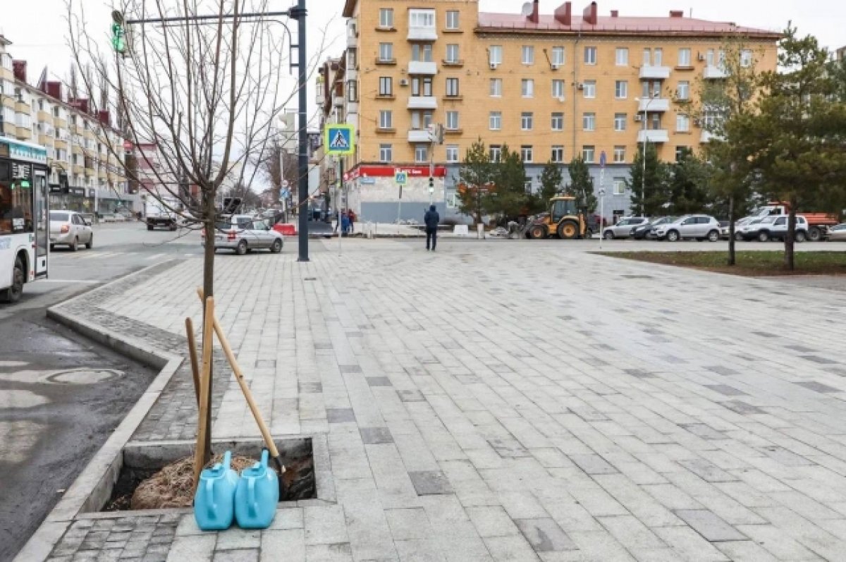    В Уфе на улице Ленина чиновники высадили липы