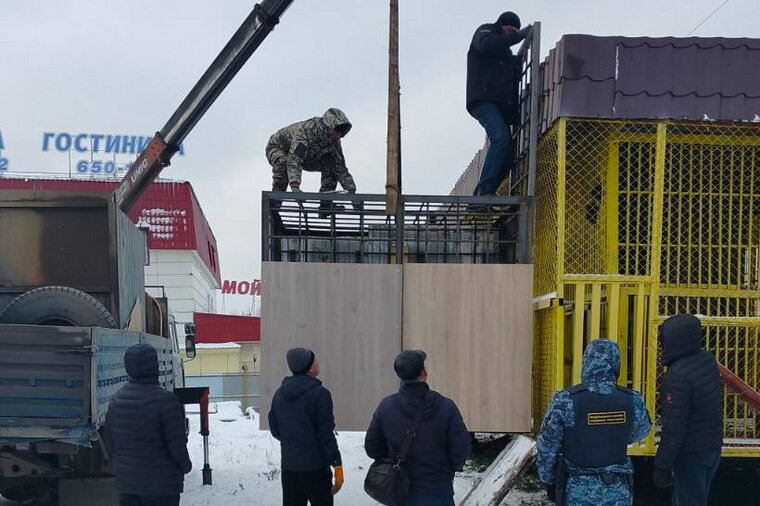    Конфискация медведей УФССП по ХМАО