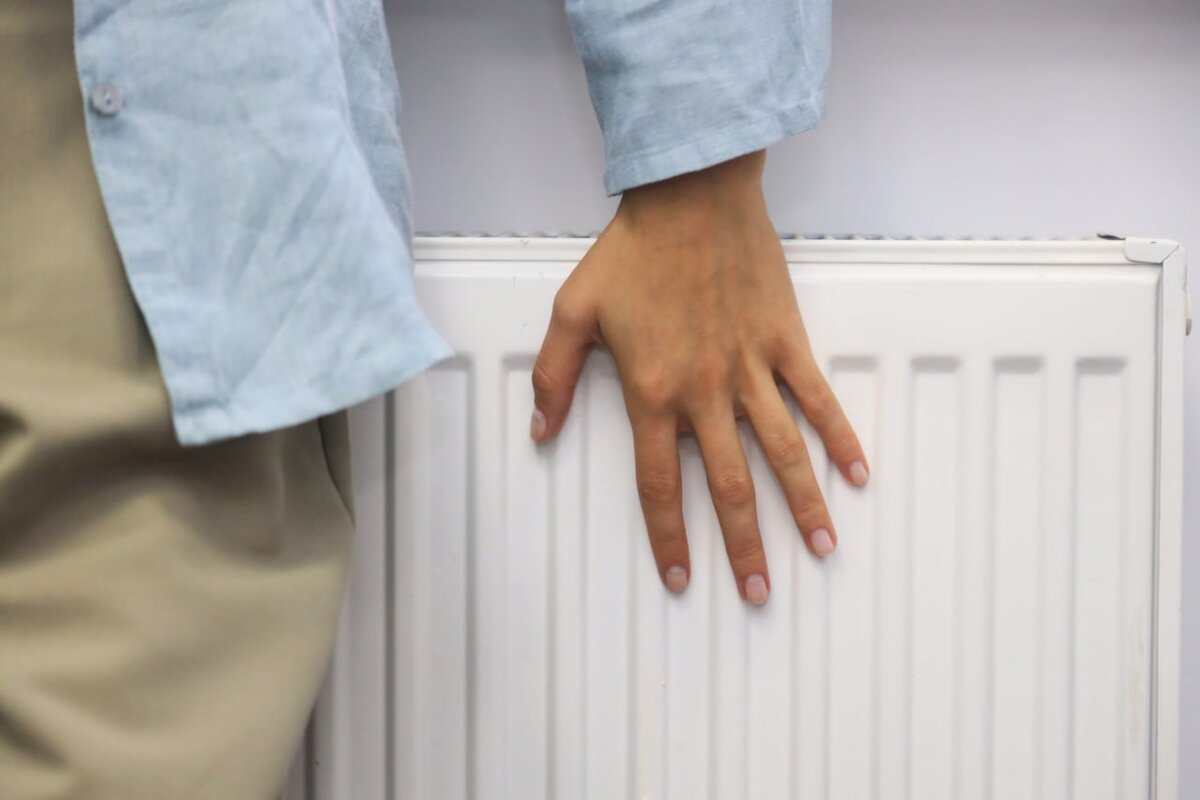 Фото: Наталья Сомова