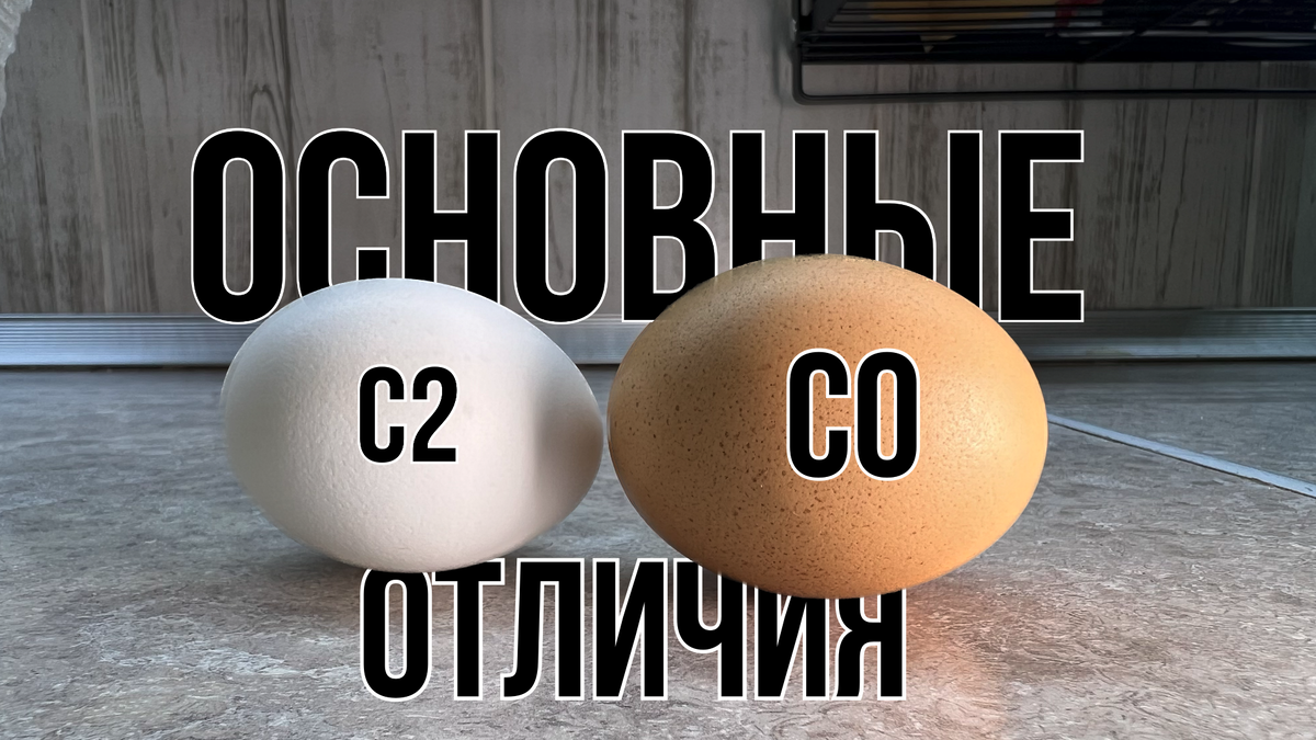 Куриные яйца