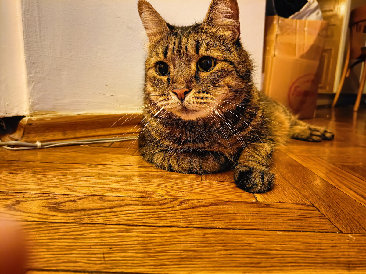 Скоро поедем в клинику.