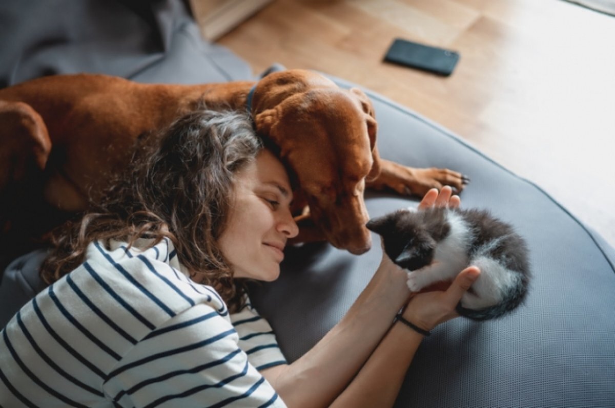    Хвост на пользу.