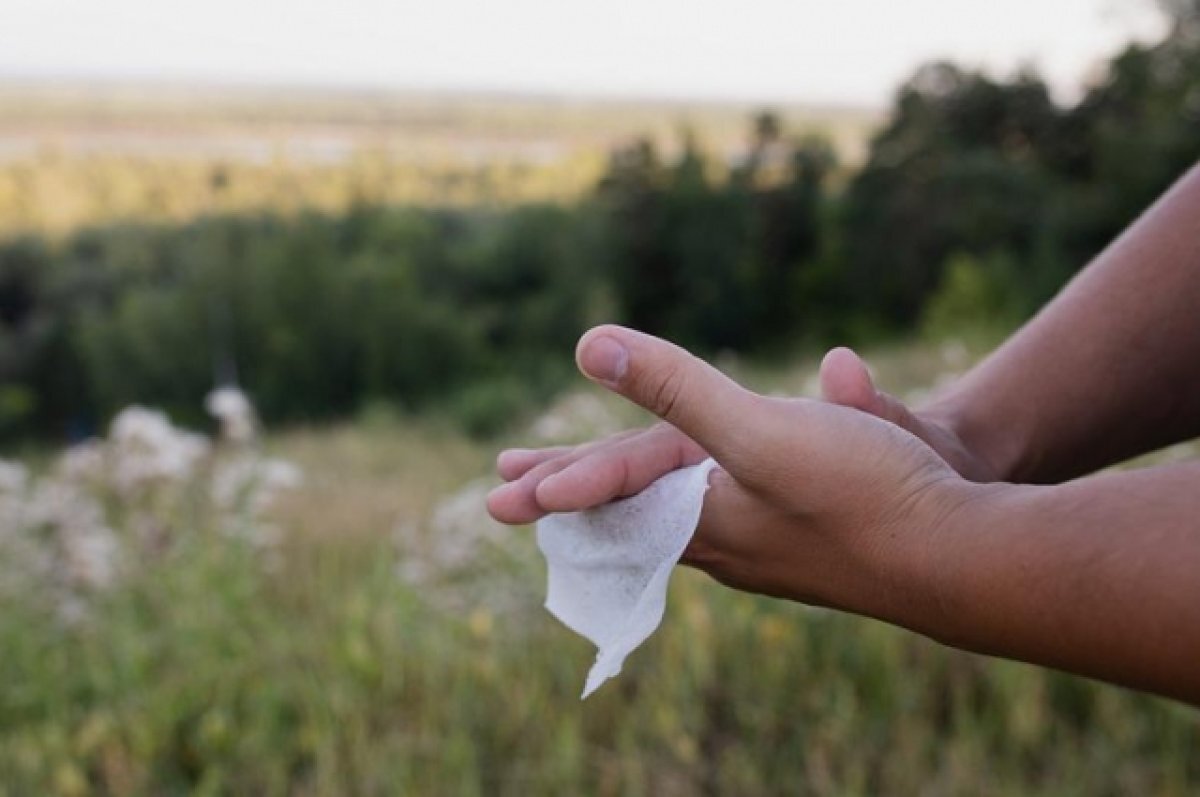    Жителей Тверской области просят не выбрасывать влажные салфетки в лесу