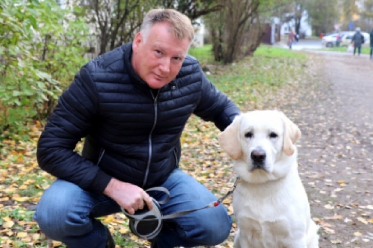    Экс-глава ГИБДД Псковской области задержал вора во время прогулки с собакой