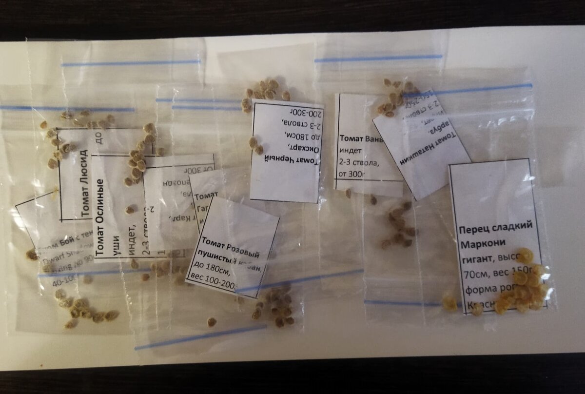 Примерный набор сортов по акции в ВК за 250р. Доставка включена 🙃