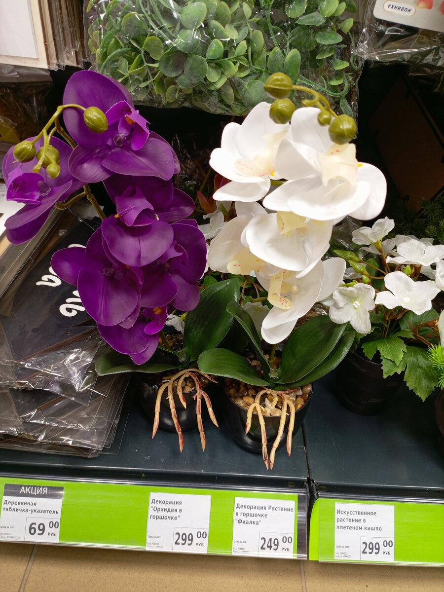 Фотография сделана автором канала