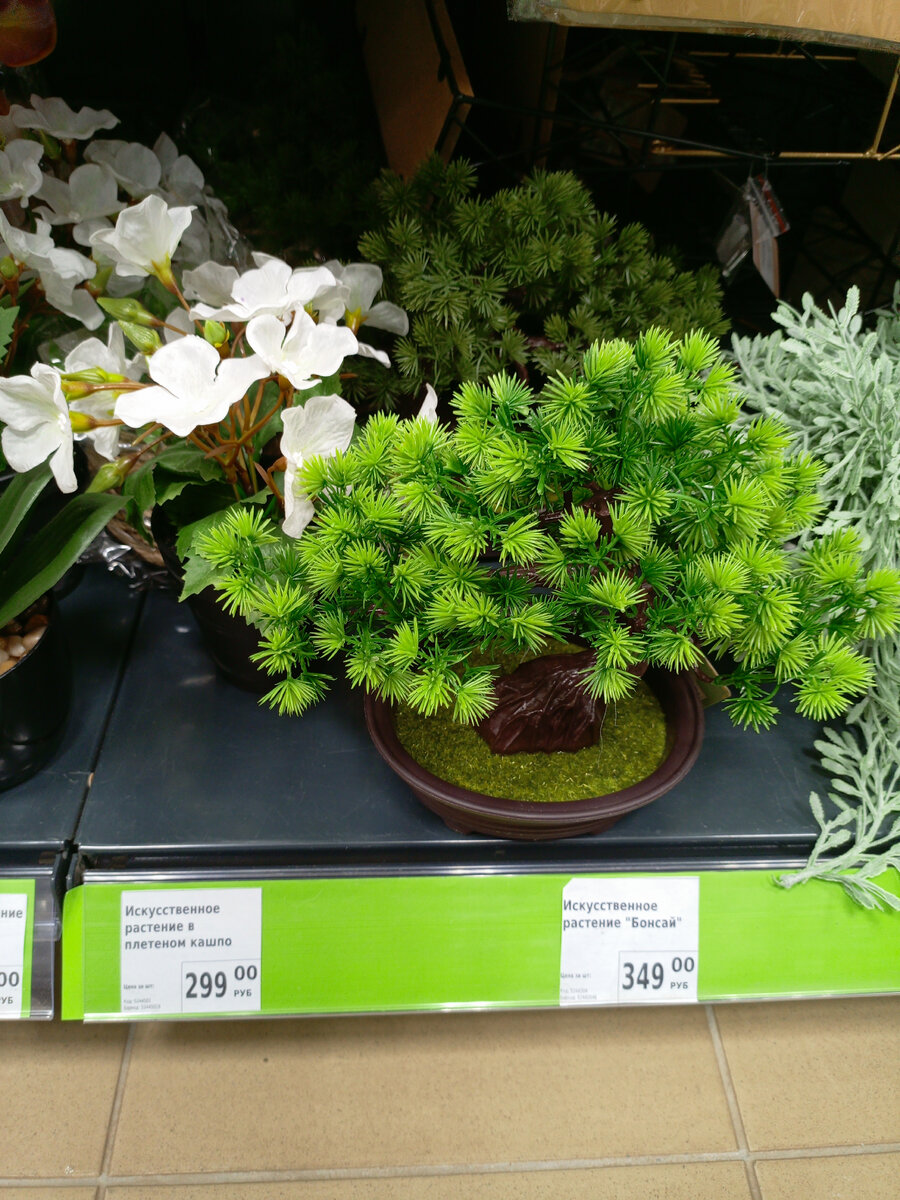 Фотография сделана автором канала