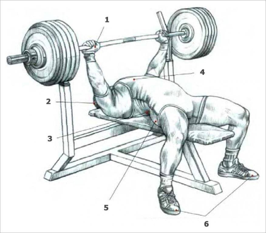 Как сделать чтобы были больше. Правильная техника выполнения жима лежа штанги. Жим штанги лежа техника мышцы. Правильное выполнение жима лежа штанги. Техника жима лежа в пауэрлифтинге.