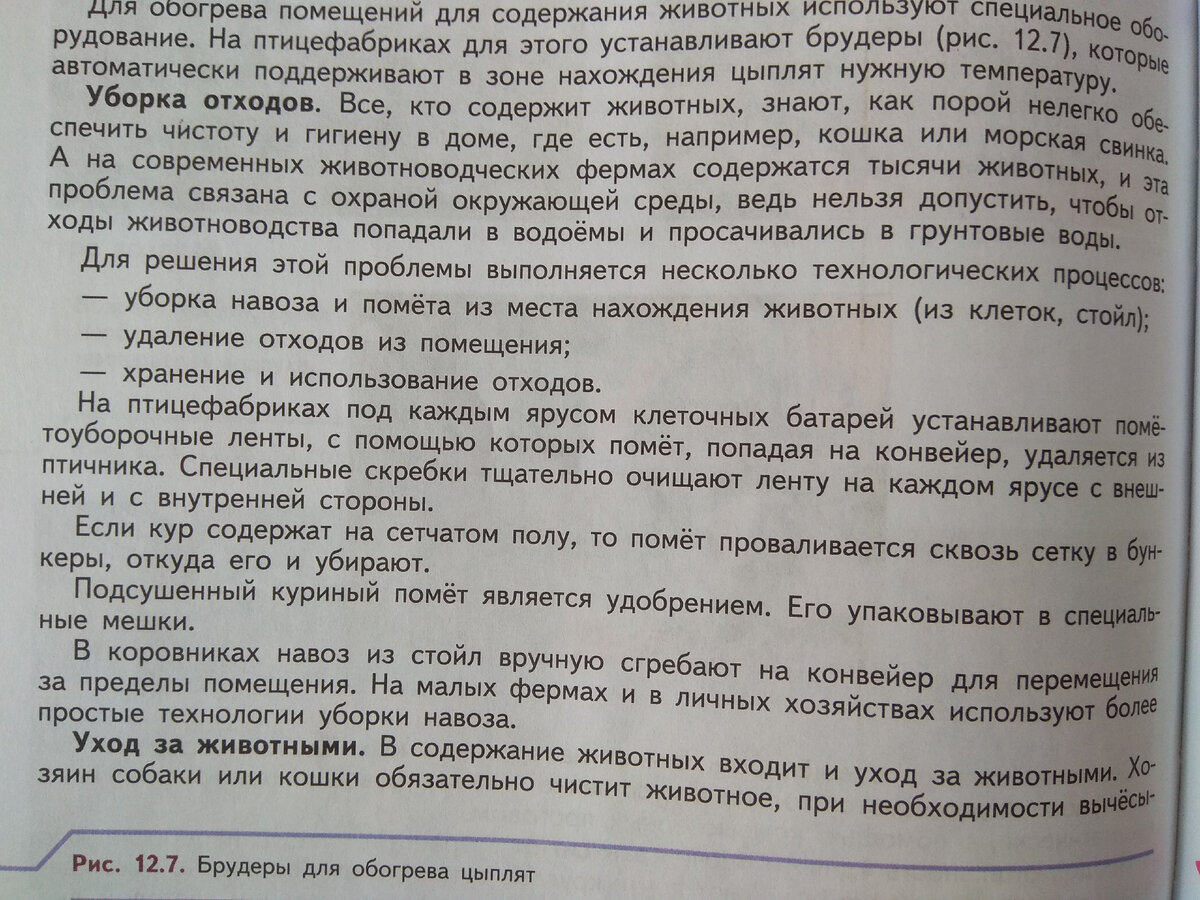 Учебник технологии 6 класс - куча ненужной информации | ЕжиХа | Дзен