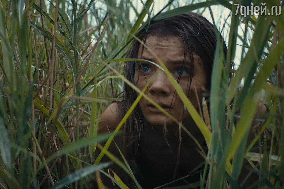    «Планета обезьян: Королевство», 2024 кадр из фильма