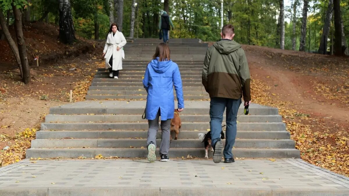     В парке Березовая роща в Ижевске завершаются этапы благоустройства этого года.