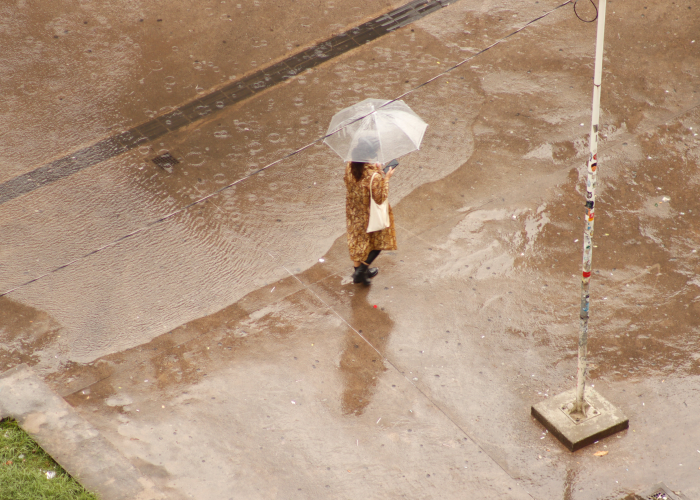 Фотограф: Mauricio Bertoni: https://www.pexels.com/ru-ru/photo/11348938/