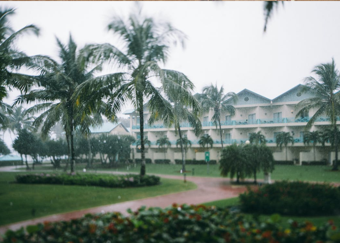 Фотограф: Lina Kivaka: https://www.pexels.com/ru-ru/photo/5623797/