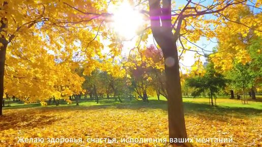 Невероятно ( видео). Лучшие порно видео невероятно смотреть на ХУЯМБА, страница 2