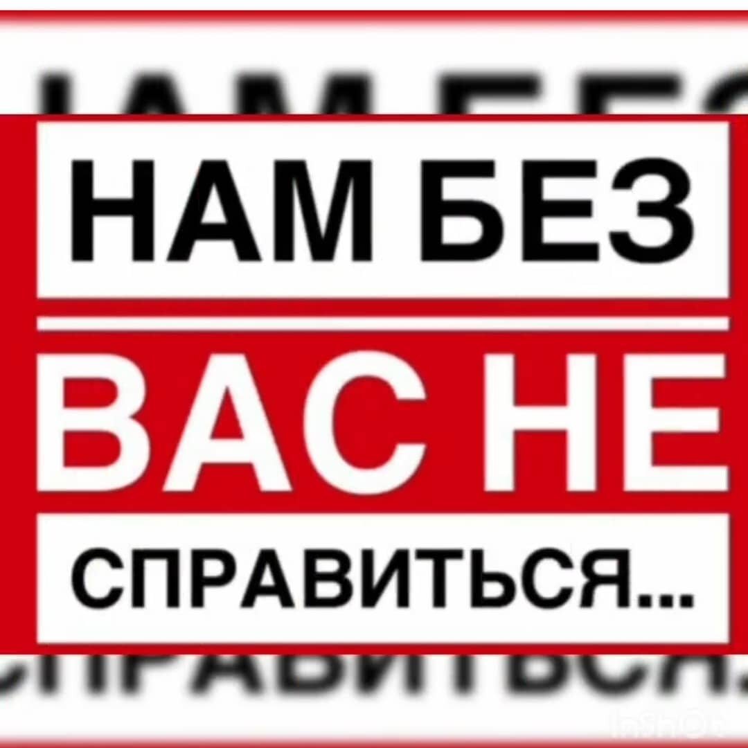 Еда, самое основное, помогите накормить животных 🐶🐈 и погасить долг  поставщику 🙏 | Кураторы Света и Мила помощь животным Ростов на Дону и  область. | Дзен