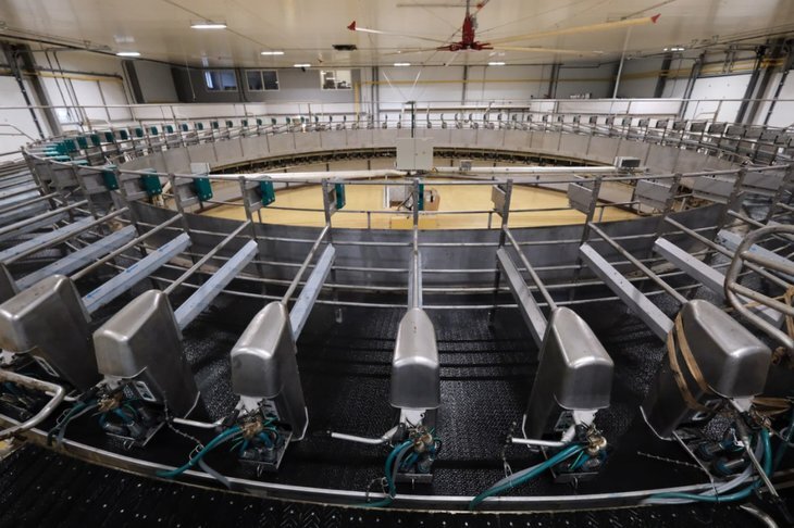    В «Заре Путино» реализуется крупнейший в Пермском крае проект по созданию молочно-товарной фермы