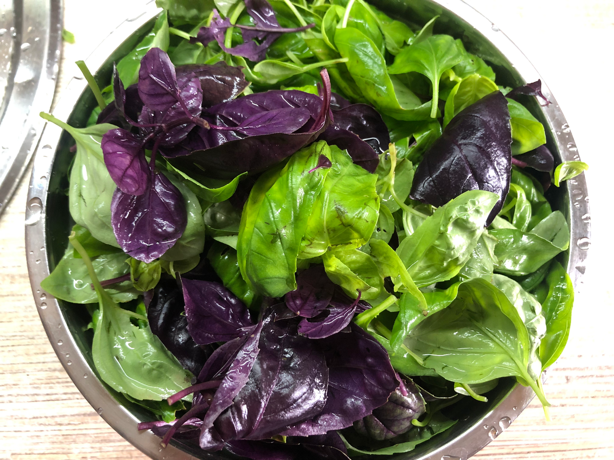 Базилик разных сортов