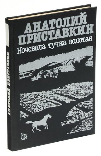 Фото Яндекс картинки