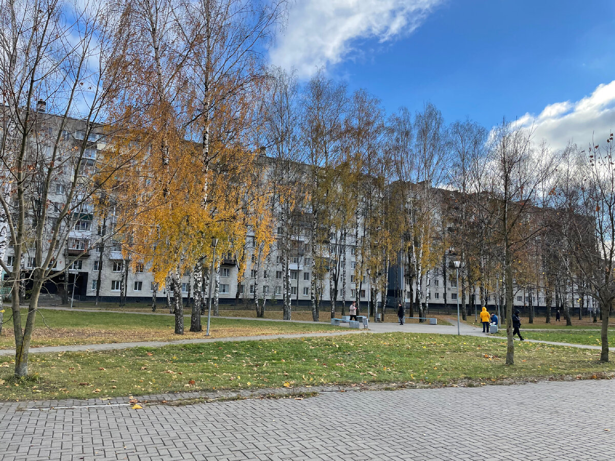 Осень в городе 