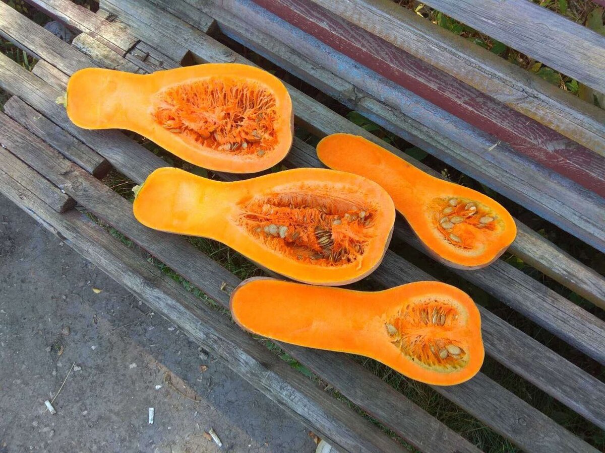 Солнечно и сочно!