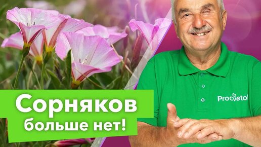 Как избавиться от сорняков? Агроном рассказал, как легко и просто победил сорняки в огороде