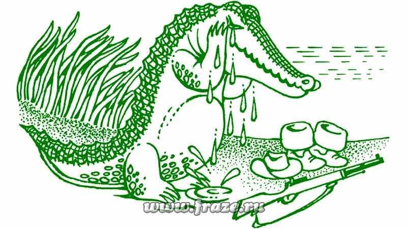 Крокодильи слезы. Крокодильи слезы предложение. Крокодильи слезы фразеологизм. Слезы крокодила. Крокодильи слезы фразеологизм.