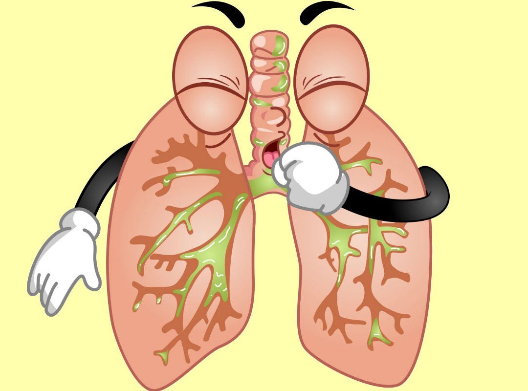 Мокрота в бронхах