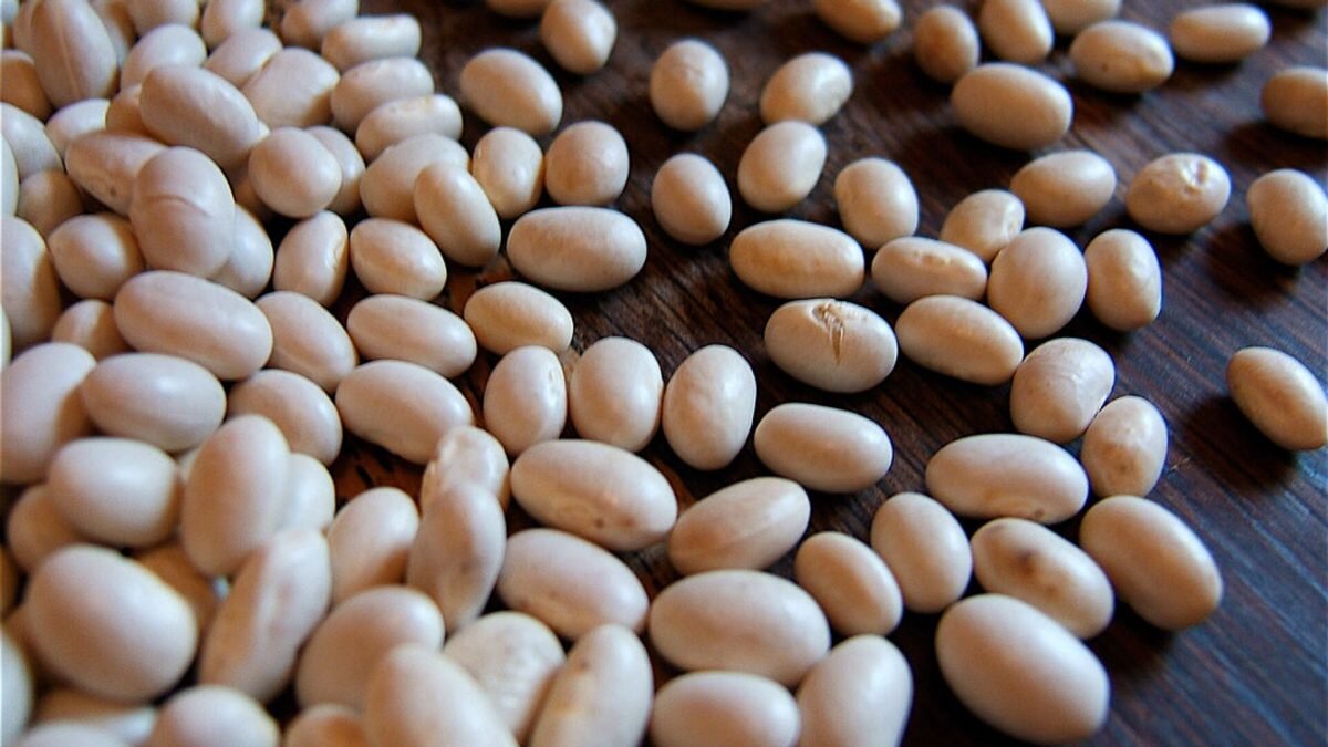    Фото: Flickr/WordRidden. Август Макаров