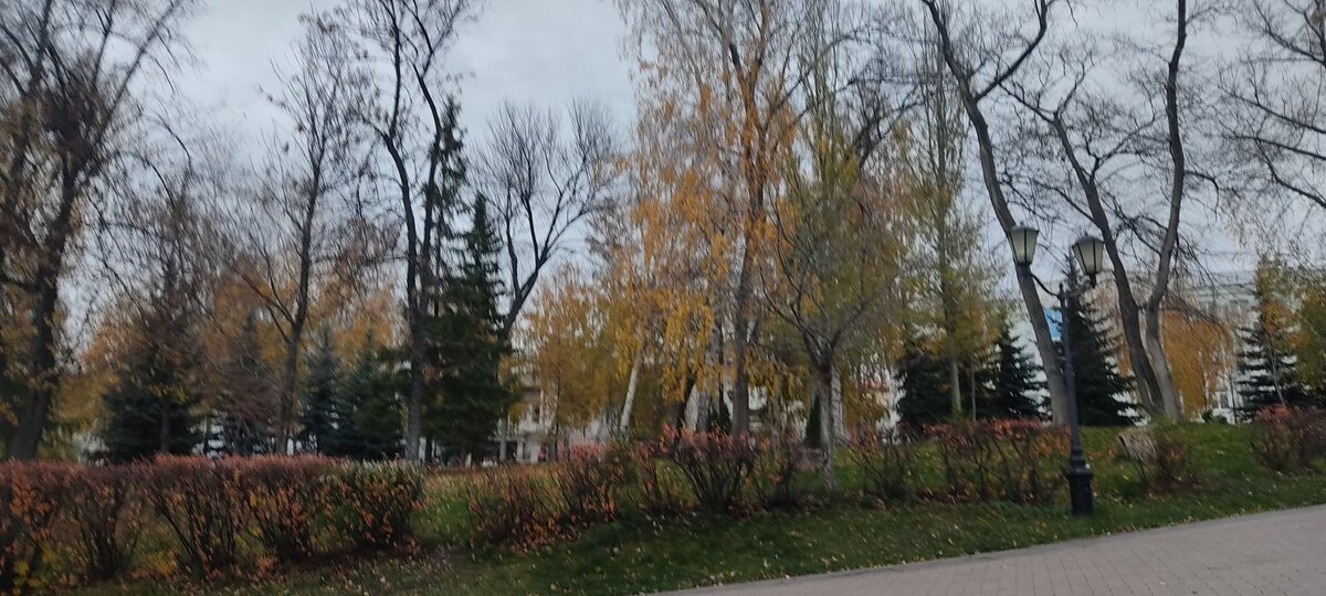Самара.Ноябрь.(Фото авторов канала)