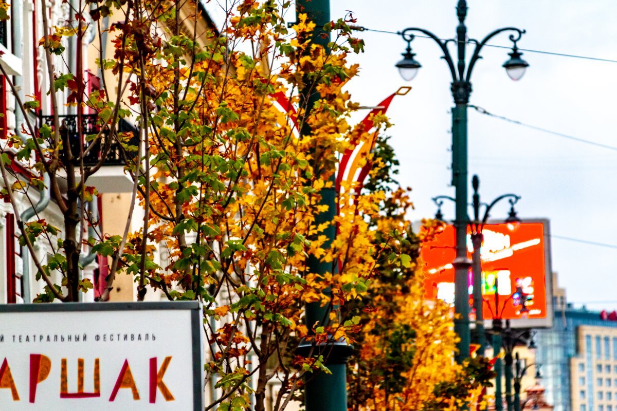    Афиша на 4, 5 и 6 ноября.