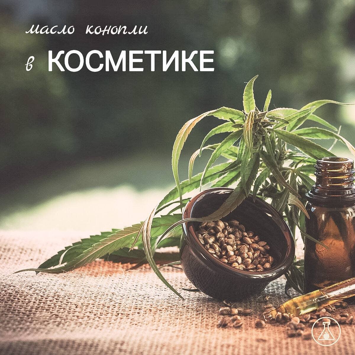 В косметических средствах может встречаться два конопляных ингредиента — конопляное масло, которое получают из семян растения, (Cannabis Sativa Seed Oill) и КБД (CBD), то есть вытяжка из листьев, соцветий и стеблей. ❗️Первое в разы полезней и как раз такое масло — основа линейки уходовой косметики HEMP! ✅ По содержанию и соотношению незаменимых жирных кислот (омега-3 и омега-6) конопляное масло даже превосходит оливковое. ✅ Также оно содержит антиоксиданты, витамины, кальций, калий, магний, серу, железо и цинк. За счет этого оно укрепляет защитный барьер кожи, глубоко питает и увлажняет клетки.