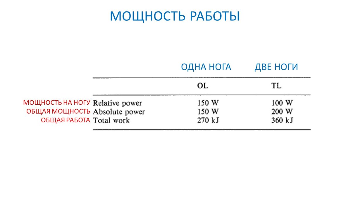 Перенос выносливости зависит от объема работающих мышц | Василий Волков |  Дзен