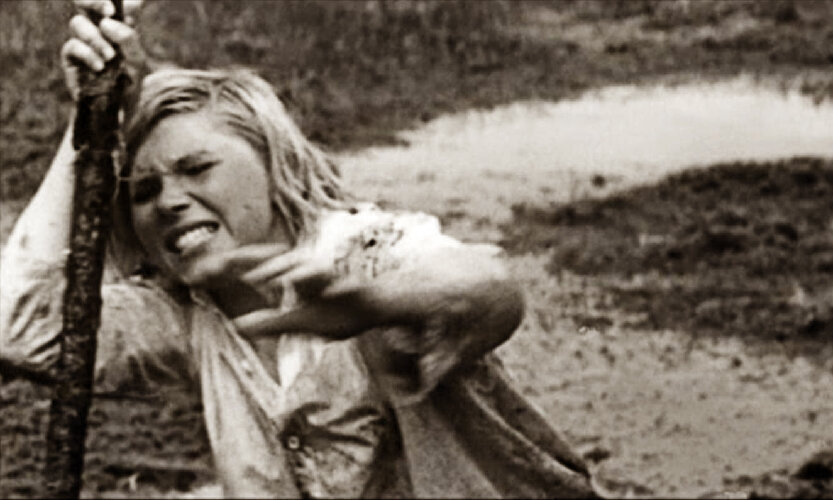 «А зори здесь тихие»