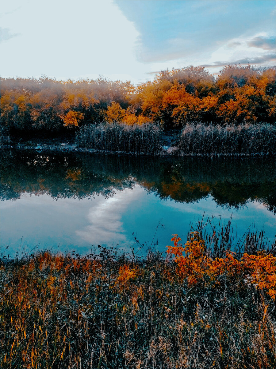 Столько красивых фото в телефоне, надо поделиться