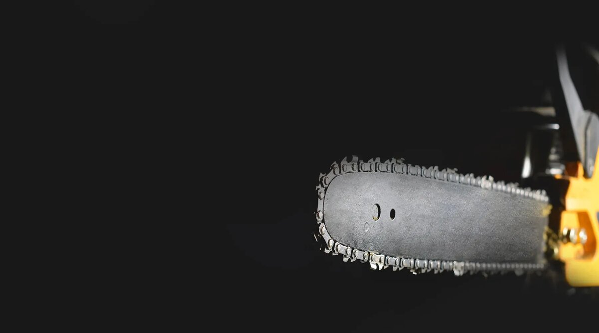 Источник: shutterstock.com