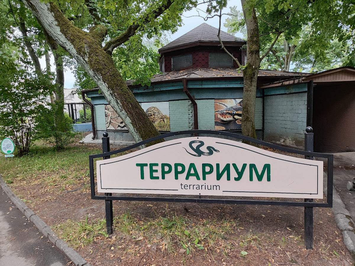 Все фото автора. 