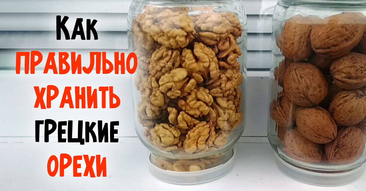 Хранение грецких