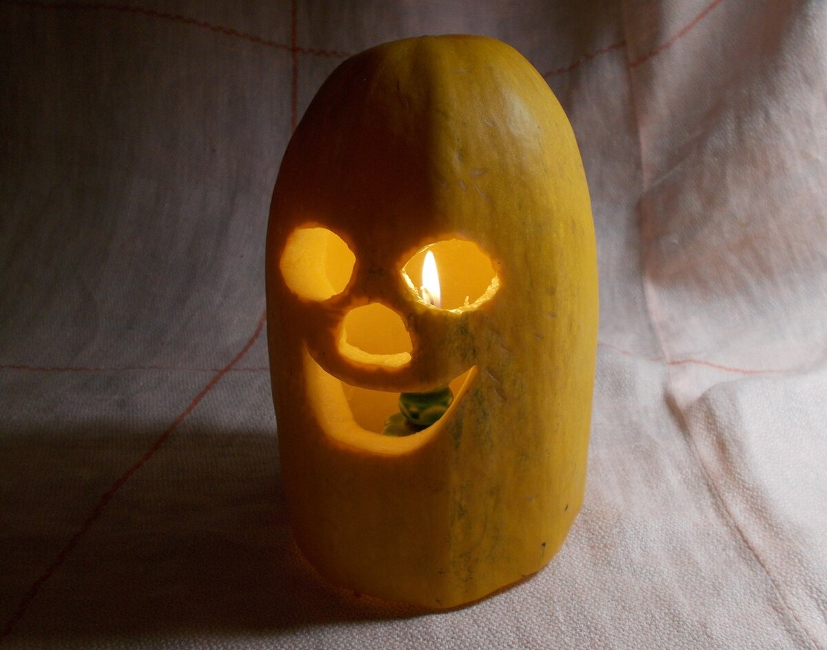 Так кабачок-светлячок выглядел три дня назад. Оптимизма в выражении много.